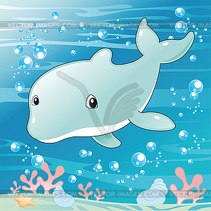 Baby Dolphin - vector image