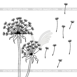 Dry dandelion flowers - abstract - vector clip art