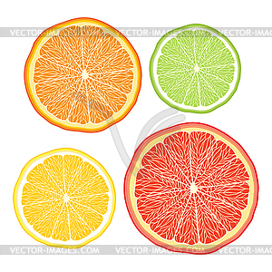 Stylised orange, lemon, grapefruit, lime - vector image