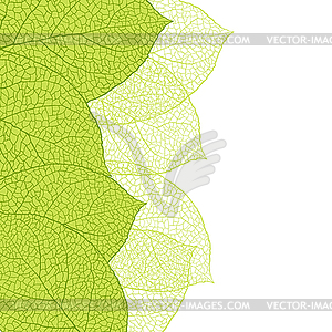 Свежие зеленые листья фона - - иллюстрация в векторном формате