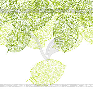 Green leaves background - vector clip art