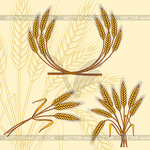 Background with ripe yellow wheat ears,  - vector image