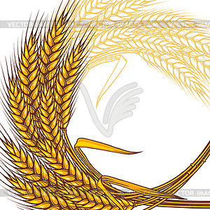 Background with ripe yellow wheat ears,  - vector clip art