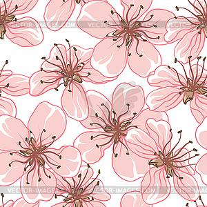 Cherry blossom background. (Seamless flowers - vector image