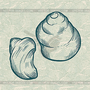 Sea shell. Original in vintage style - vector clip art