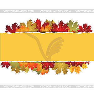 EPS10 Autumn maple leaves background.  - vector clip art