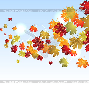EPS10 Autumn maple leaves background.  - vector clipart