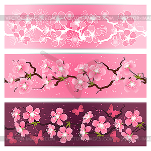 Cherry blossom flowers banner set - vector clipart