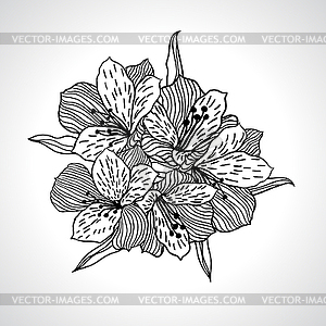 Black macro orchid flower  - vector clipart