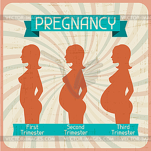 Silhouette of pregnant woman in three trimesters - vector clipart