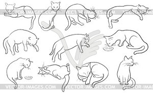 Set of line cats silhouette - vector clipart / vector image