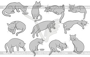 Set of line cats silhouette - vector image
