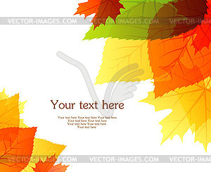 Autumn leaves back - vector clipart