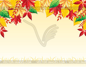 Autumn leaves back - vector clipart