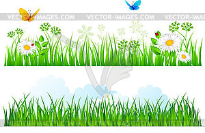 Summer grass - vector clipart