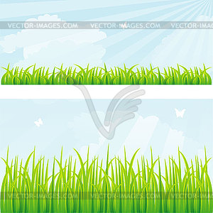 Summer grass - vector clipart / vector image
