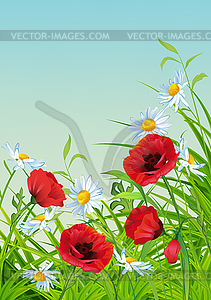 Summer Flower Flyer - vector clip art