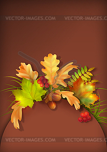 Autumn Fall Leaves - vector clipart