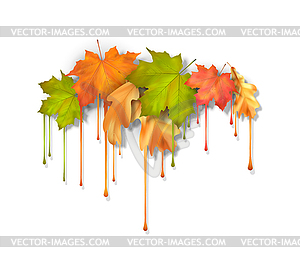 Autumn Dripping Paint Leaves - vector clipart