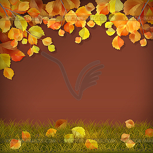 Autumn fall leaves - vector clipart