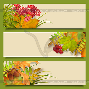 Autumn Fall Leaves Banners - royalty-free vector clipart