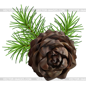 Christmas branch hanging pine cone - vector clipart