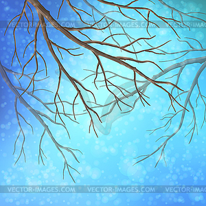 Winter Tree Branches - vector clipart