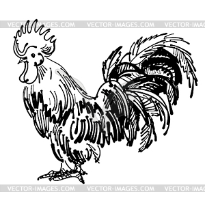 Rooster Ink Sketch - vector image