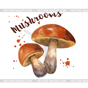 Watercolor Mushroom - vector clip art