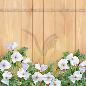 Background with White Flowers - vector clipart