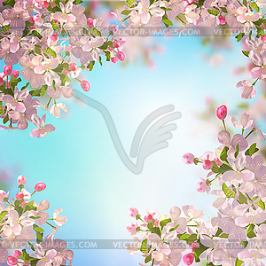 Spring Apple blossom - vector clip art