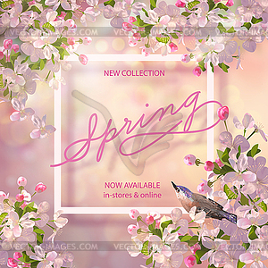Spring Cherry Blossom - векторизованное изображение клипарта