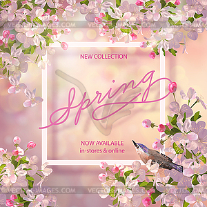 Spring Cherry Blossom - vector clip art