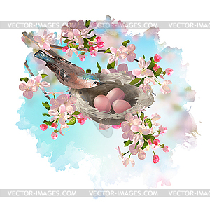 Spring Apple Blossom and Bird - color vector clipart