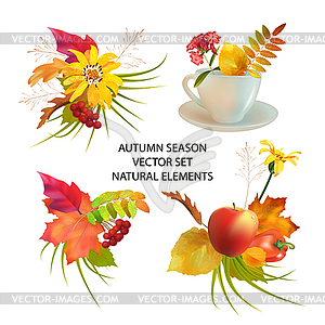 Autumn Season Collection - vector image