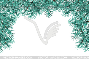 Pine Tree Branches - vector image