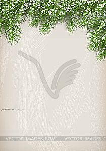 Fir Tree on Plaster Wall Background - vector clipart