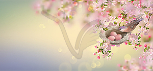 Spring Apple Blossom - color vector clipart