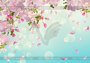 Spring Apple blossom - vector clipart