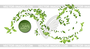 Green Flying Leaves - vector clipart