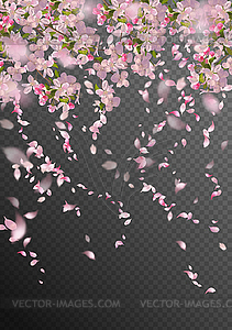 Spring Cherry Blossom - vector image