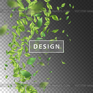 Green Flying Leaves - vector image