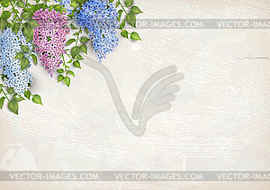 Lilac on plaster wall background - vector image
