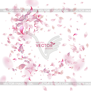 Petals Flying Background - vector clip art