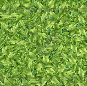 Зеленый лист с прожилками - векторное изображение