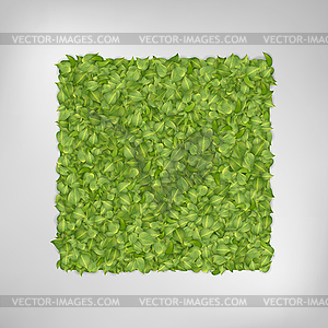 Green leaf background - vector clip art