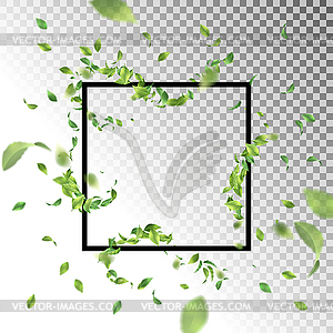 Square Frame with Leaves - color vector clipart