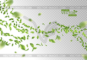 Green Flying Leaves - vector image