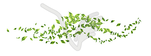Green Flying Leaves - vector clipart