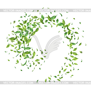 Зеленые Летающие Листья - клипарт в векторном формате
